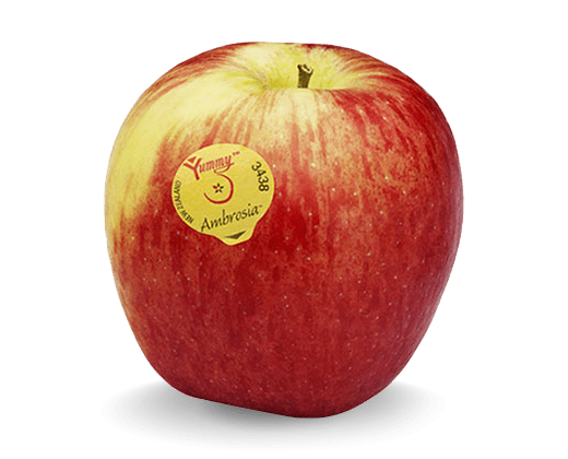 Red Delicious  The Yummy Fruit Co