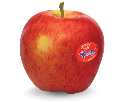 Genesis - Yummy apple